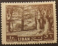 [Cedar of Lebanon and Zahle, tip IH]
