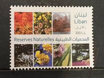 [Flora - Natural Reserves, tegund AFT]