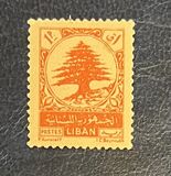 [Cedar of Lebanon, tegund XCZ1]