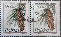 [Stamp Issues for Postcards: Pine Trees, Tipo DER]