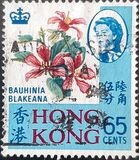 [Local Motives, type BN]