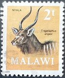 [Decimal Currency - Antelopes, type CY]