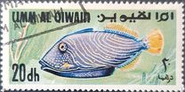 [Fish of the Arabian Gulf, 유형 FV]