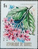 [Flowers of Guinea, type OV]