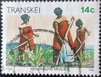 [Xhosa Culture, 类型 GC]
