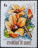[Flowers of Guinea, type OU]