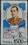 [Polish Armed Forces in World War II: Battle of Narvik, Norway, 類型 DCX]