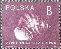 [Stamps for Domestic Mail: Shells of Snails, Tip DDD]