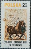 [The 150th Anniversary of Horse Riding in Sieraków, タイプ CGT]