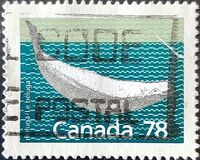 [Canadian Mammals, jenis AOK]