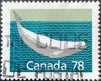 [Canadian Mammals, jenis AOK]