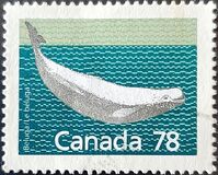 [Canadian Mammals, jenis AOK]