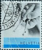 [Traditional Handicrafts - Self Adhesive, Typ CFK]