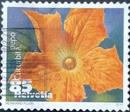 [Flora - flowering Plants - Self Adhesive Stamps, نوع CGB]