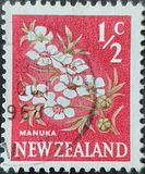 [Local Motifs - Flowers, тип GR]