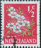 [Local Motifs - Flowers, тип GR]