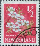 [Local Motifs - Flowers, тип GR]