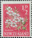 [Local Motifs - Flowers, тип GR]