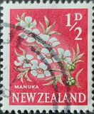 [Local Motifs - Flowers, тип GR]