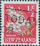 [Local Motifs - Flowers, тип GR]