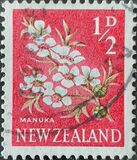 [Local Motifs - Flowers, тип GR]