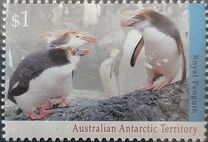 [Antarctic Wildlife, Scrivi CQ]