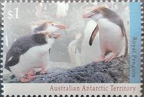 [Antarctic Wildlife, Scrivi CQ]