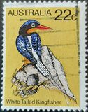 [Birds, tip TW]