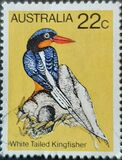 [Birds, tip TW]