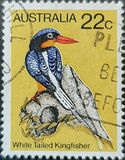 [Birds, tip TW]