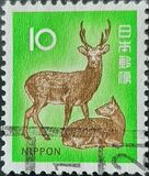 [Definitive Issue, type AXZ]
