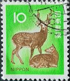 [Definitive Issue, type AXZ]
