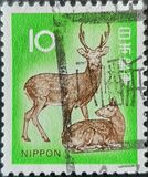 [Definitive Issue, type AXZ]