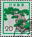 [Definitive Issue, type AYA]