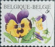 [Flower - Self-adhesive Stamp Without Value Specification, type CIY]
