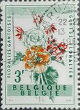 [Gent Flower Festival, type XS]