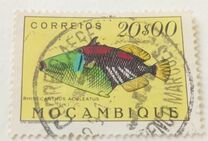 [Fish, Typ CU]