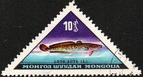 [Fish, type JL]