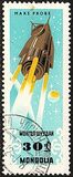 [Space Research, type LO]