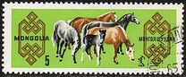 [Mongolian Horses, tegund ME]