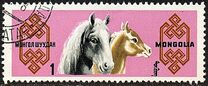 [Mongolian Horses, tegund ML]