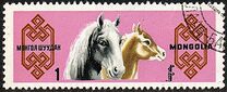 [Mongolian Horses, tegund ML]