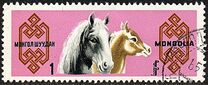 [Mongolian Horses, tegund ML]