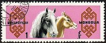 [Mongolian Horses, tegund ML]