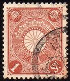 [Chrysanthemum, type AJ1]