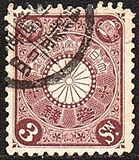 [Chrysanthemum, type AJ3]