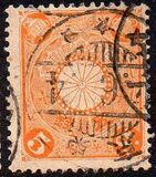 [Chrysanthemum, type AJ5]