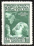 [Fruit Exhibition, type SQ]
