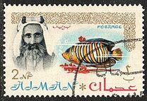 [Sheik Rashid bin Humaid al Naimi Pictured with Different Animals - Size: 35 x 22 mm, տեսակ B]