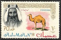 [Sheik Rashid bin Humaid al Naimi Pictured with Different Animals - Size: 42 x 27 mm, 유형 C1]